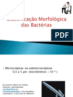 Classificação Morfológicas Das Bactérias