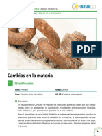 Cambios Físico y Químico de La Materia