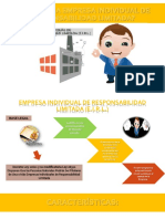 Empresa Individual de Responsabilidad Limitada Oficial PDF