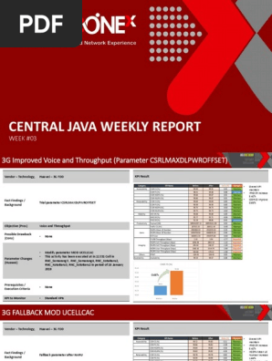 Weekly Report
