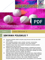 POLISIKLIS