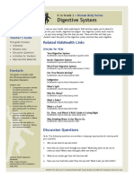 Digestive PDF