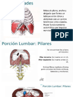 Diafragma Vascularizacion e Inervacion