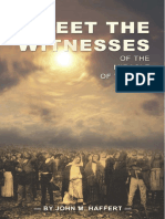 Meet The Witnesses 91511 PDF