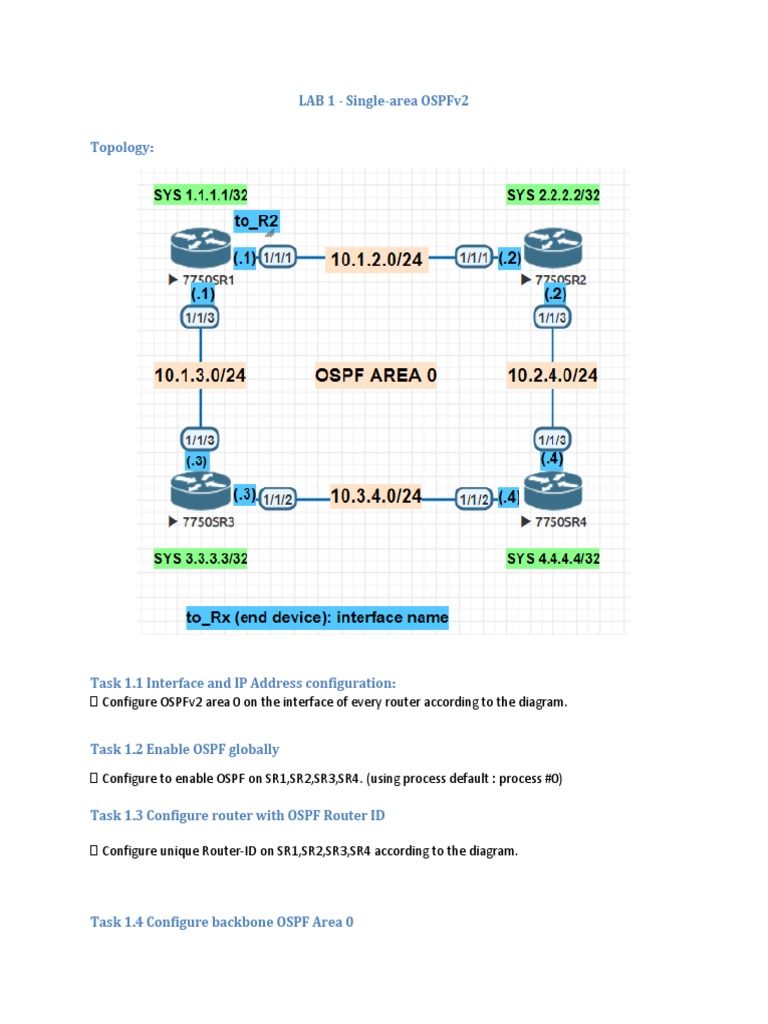 Lab 1Igp SingleArea Ospfv2 PDF
