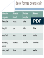 Adjectifs Avec 2 Formes Au Masculin