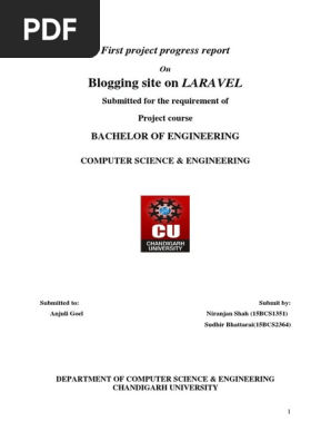 First Project Progress Report