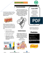 jornal (1) PDF(1)