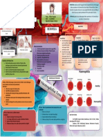 Mind Map Hemofilia