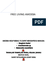 Free Living Amoeba