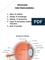 Patologi_Pancaindra