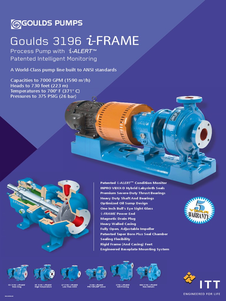 Process Pump With Patented Intelligent Monitoring: Goulds 3196 - Frame ...