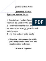 Digestive System Notes