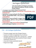 Pengertian Jaringan Epitelium: Ektoderma, Mesoderma, Atau Endoderma Endotelium Mesotelium Endotelium Mesotelium Mesoderma