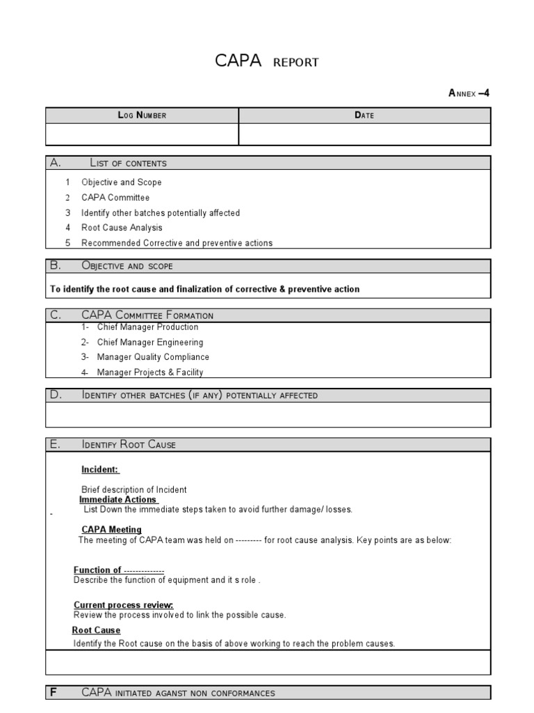 CAPA Report and Meeting Overview | PDF