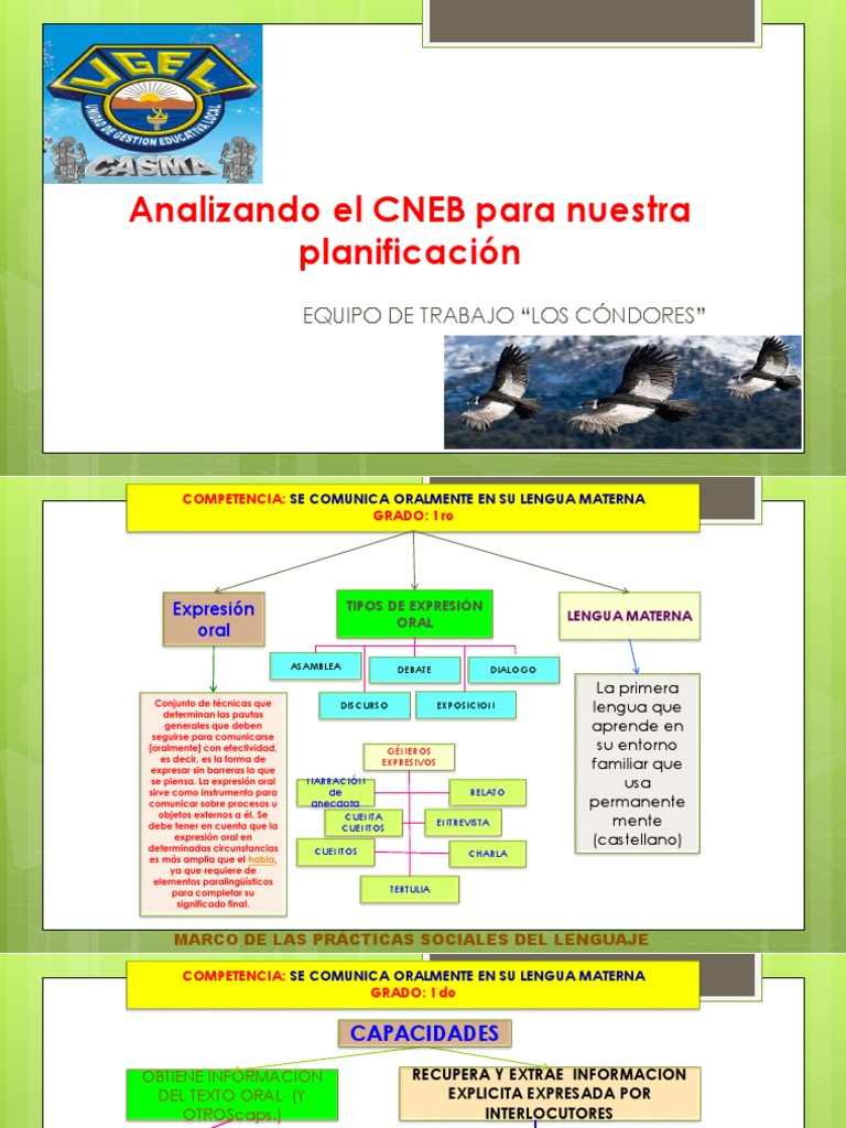 Analizando El CNEB para Nuestra Planificación | PDF | Información ...