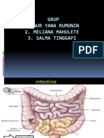 Grup 1. Nur Yana Rumonin 2. Meliana Mahulete 3. Salma Tinggapi