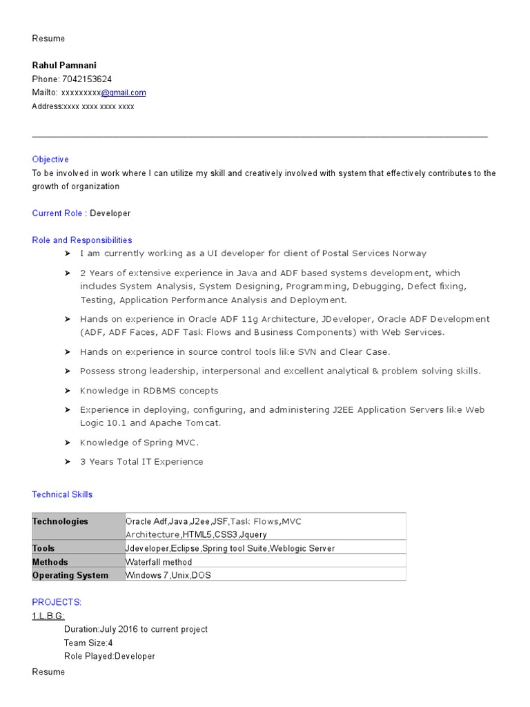 Rahul Pad Man I Resume | PDF | Java Platform | Software Development