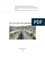 Apunte_Flotacion_2008.pdf