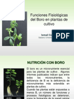 Funciones Críticas Del Boro (Cakmak) PDF