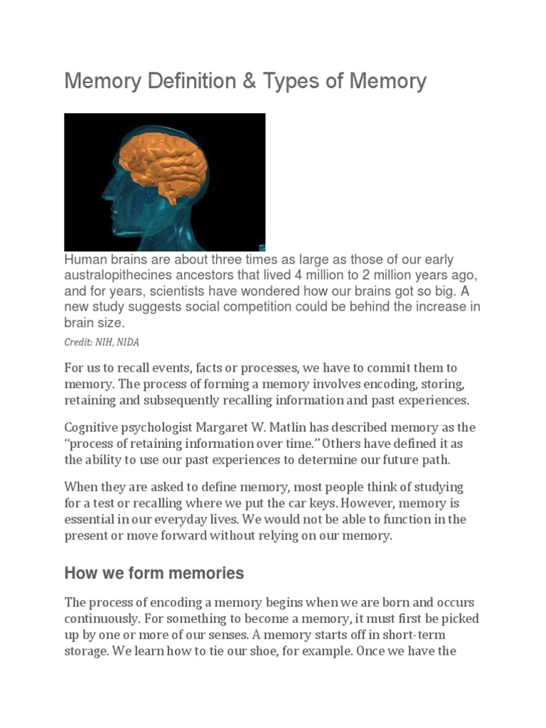 Memory Definition & Types of Memory How We Form Memories PDF Recall (Memory) Long Term Memory