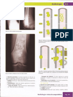 Manual Amir Radiologia101