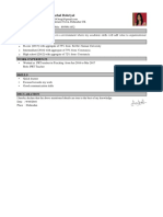 CV - Professional Resume - 01 PDF