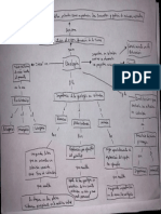 Mapa Conceptual