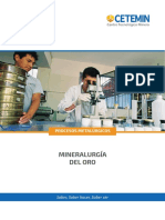 Mineralurgia Oro - TPM