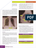 Manual Amir Radiologia10