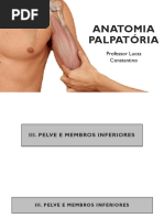 Anatomia Palpatória 04.04