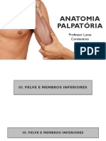 Anatomia Palpatória 04.04