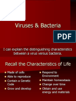 04 - viruses archaebactera and bacteria - weebly