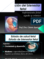 Asfixia Fetal