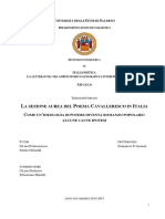 tesi D. D'Arienzo.pdf