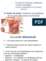 Anatomie Topographique de La Cavité Abdominale Et Péritonéale