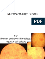 Microbiology - Viruses and Classification