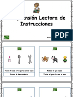 Comprension Lectora Instrucciones