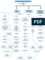 FUNCIONES DE LA NUTRICIÓN (ESQUEMA).pdf