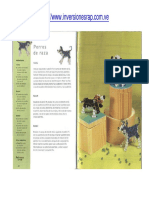 Animales con Patrones.pdf