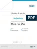 Diploma de Participación: Johan Pinilla Ramirez