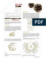 Animales y Collares.pdf