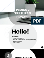 Pemicu 2 (BSL)