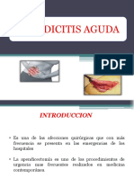 Apendicitis Aguda Diapos