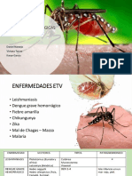 ALERTAS EPIDEMIOLOGICAS ETV TERMINADO.pdf