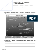 PRUEBA CIENC. 6°