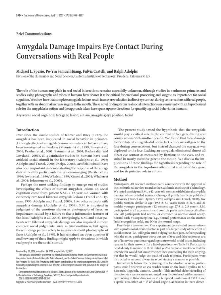 Contacto Visual | PDF | Amygdala | Autism