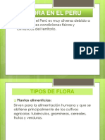 FLORA EN EL PERU.pptx