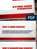 An Overview of Human Behavior in Organizations
