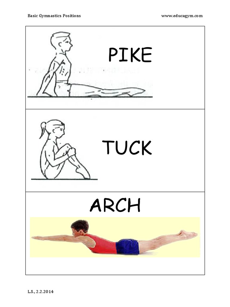 basic gymnastics positions